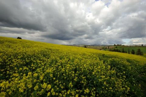 Dramatic sky 写真素材