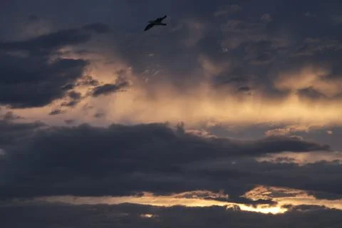 Dramatic sky Stock Photos