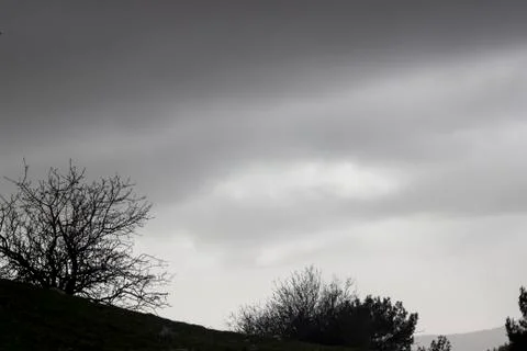 A Dramatic Sky Scene and Trees Stock Photos