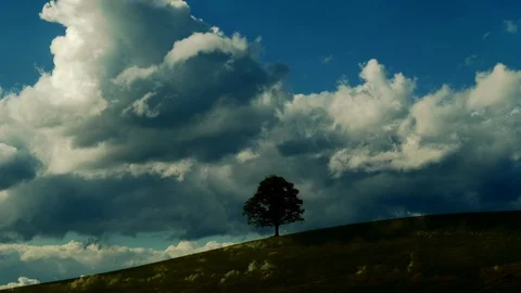 Dramatic Sky Scenery of Storm Clouds and Tree Landscape Stock-Footage 86858875