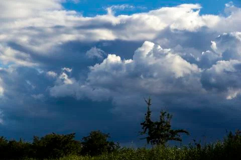 Dramatic sky with some plants in front Stock Photos