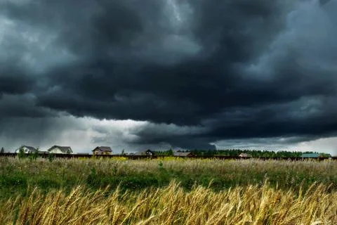 Dramatic sky with stormy clouds and rain over the wheat field. Stock Photos