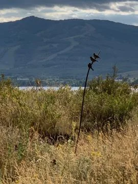 Dramatic sky. Sunset. Panoramic view. A group of clouds in the sky Фото