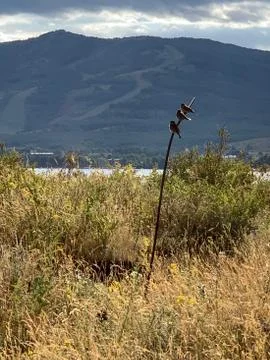 Dramatic sky. Sunset. Panoramic view. A group of clouds in the sky Stockfoto's