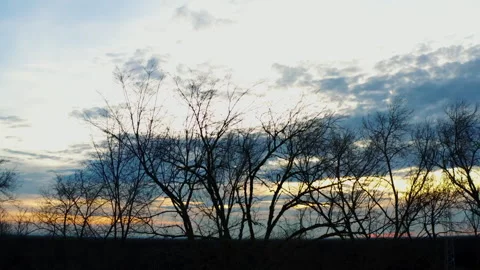 Dramatic sky sunset  through the tree branches Stock Footage 297095804