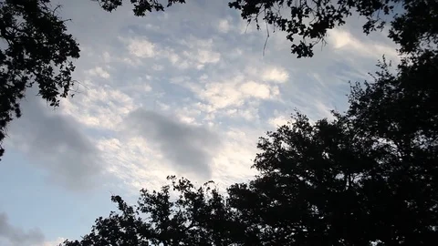 Dramatic sky with trees framing the scene. Stockbeeldmateriaal 76873850