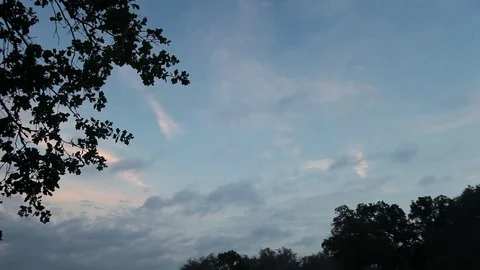 Dramatic sky with trees framing the scene. Stockbeeldmateriaal 76873861