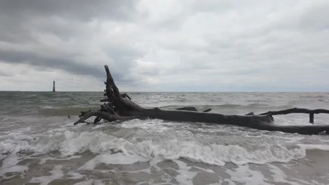 Dramatic slow motion shot of storm wave breaking on driftwood, Charleston Stock Footage 318234454