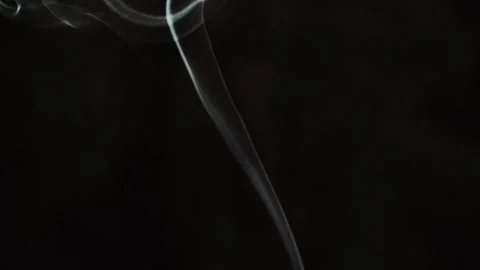 Dramatic, slow motion smoke trails from incense stick on black background Stock Footage 345590913