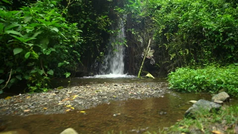  Dramatic small waterfall on backroads of Caribbean mountains of Dominican Repu. Stock Footage 142245809