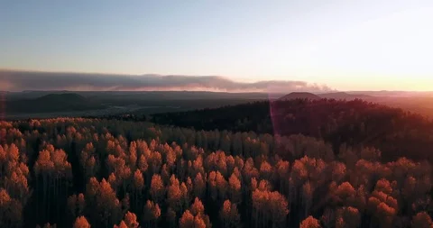 Dramatic smoke from forest fire and golden yellow aspen leaves and pines Stock Footage 120063599