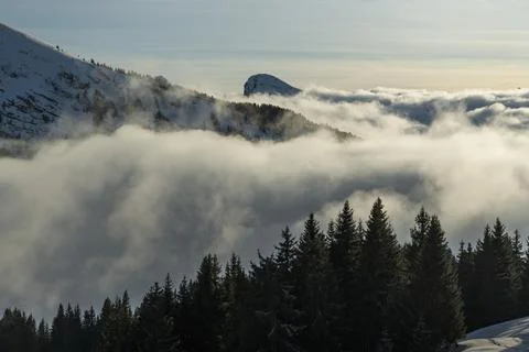 Dramatic snowy winter mountain landscape with low misty clouds and forests at Stock Photos