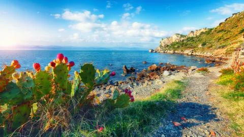 Dramatic spring sunset on the the cape Milazzo panorama of nature reserve Pis Stock Photos