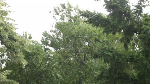 Dramatic Storm in the City Stock Footage 23941580