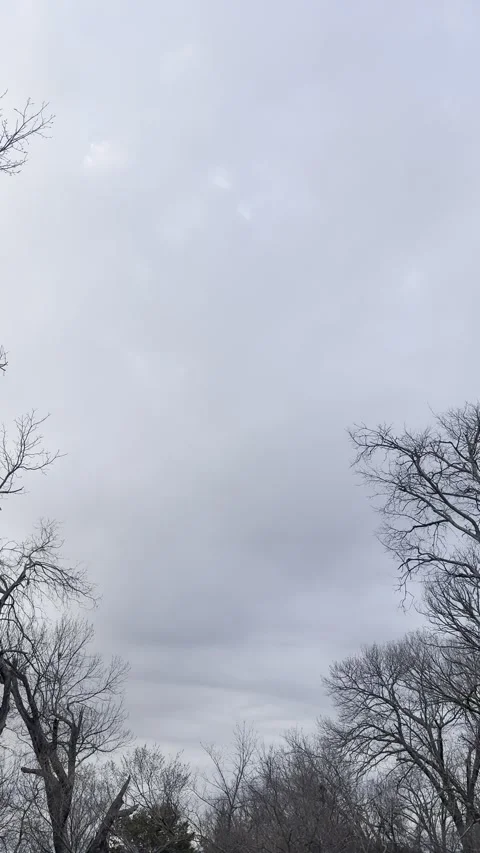 Dramatic Storm Clouds Above Bare Tree Line Видео 344807467