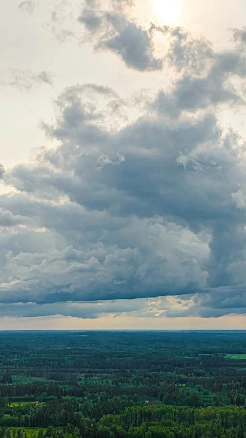 Dramatic Storm Clouds Above Expansive Forest and Fields, Vertical Aerial Stock Footage 342786392