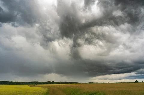 Dramatic storm clouds above open rural fields with visible rain in the distance 库存照片