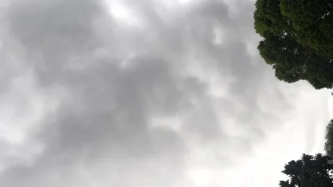 Dramatic Storm Clouds and Trees 스톡 동영상 314377110