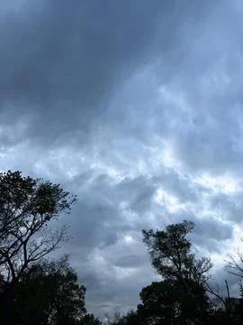Dramatic Storm Clouds Framed by Tree Tops Stock Photos