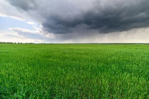 Dramatic Storm Clouds Gather Above a Lush and Expansive Green Field in the Count Stockfoto's