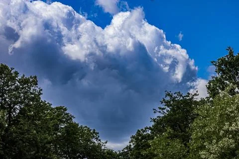Dramatic storm clouds gather over lush green trees on a bright summer day Foto stock