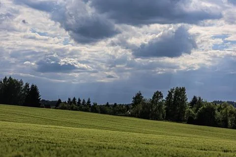 Dramatic storm clouds gather over a vibrant green agricultural field 스톡 사진