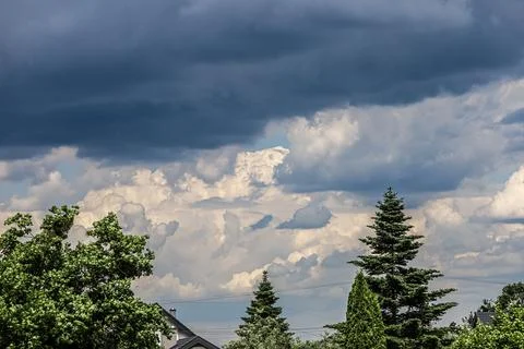 Dramatic storm clouds gather over a suburban landscape with evergreen trees 写真素材