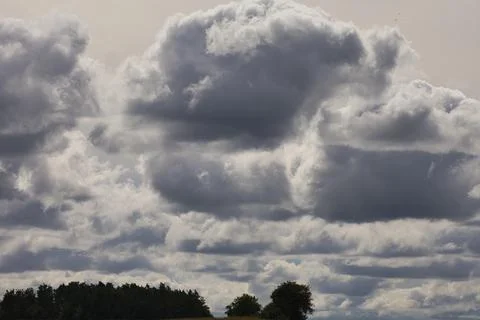 Dramatic storm clouds gather over a distant tree line under a moody sky Stock Photos
