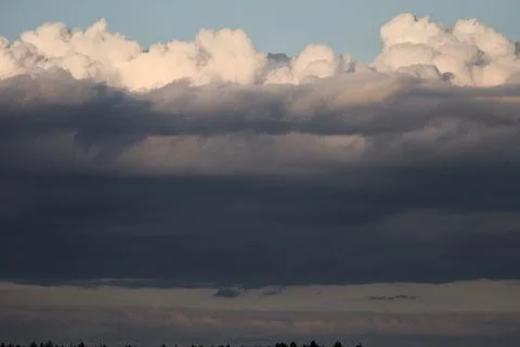Dramatic storm clouds gather over a dark forest canopy at dusk Stock Photos