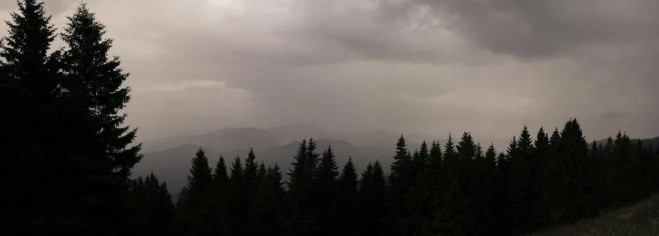 Dramatic storm clouds gathering above dense spruce forest and distant mount.. 库存照片