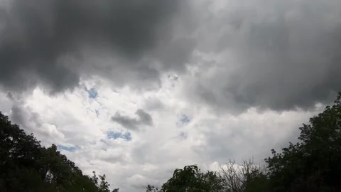 Dramatic storm clouds moving across the sky above treetops 库存影片 343930805