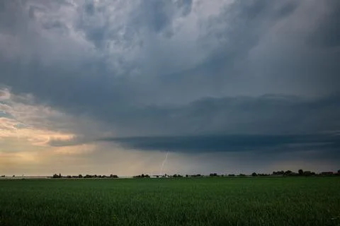 Dramatic storm clouds over farmland field with lightning bolt and rain shaft Foto stock