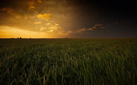 Dramatic Storm Clouds Over Green Field at Golden Sunset Stock Photos