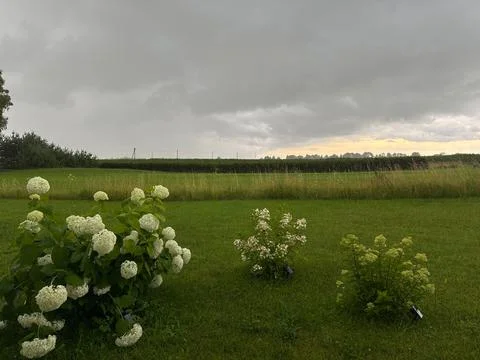 Dramatic Storm Clouds Over Green Farmland and Blooming Garden Stock Photos