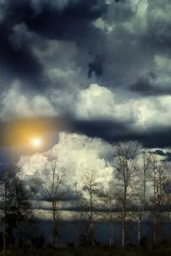 Dramatic storm clouds over a leafless forest. Stock Photos