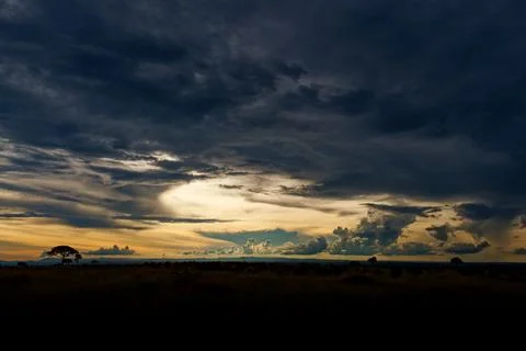 Dramatic storm clouds over savanna at sunset in Murchison Falls National Pa.. Stock Photos