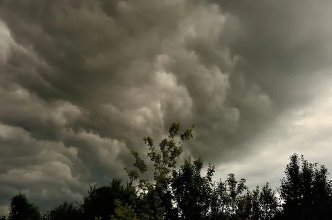 Dramatic Storm Clouds over Trees Stock-Fotos