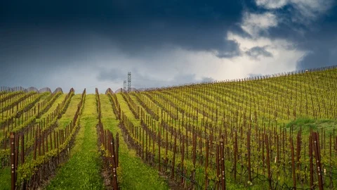 Dramatic storm clouds passing scenic vineyard on hill landscape 4K Timelapse Stock Footage 99684781