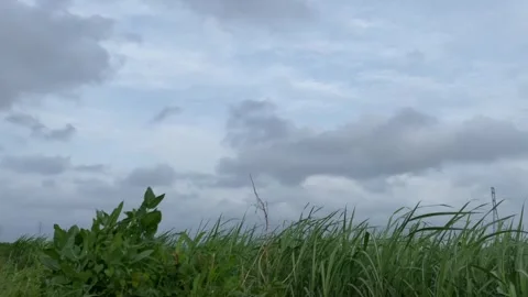 Dramatic Storm Clouds Time-Lapse in the Sky Stock Footage 300939962