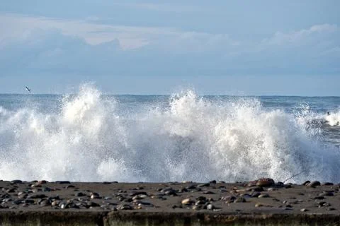 Dramatic storm waves crashing on a pebble beach, Black Sea coast Stock Photos