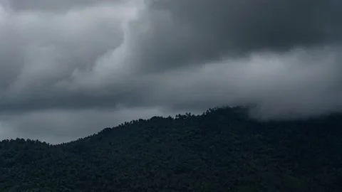 Dramatic stormy clouds flying over top of mountain covered with forest. Stock Footage 136444331