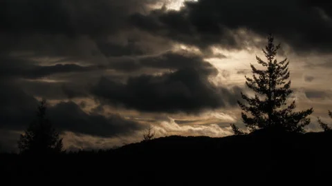 Dramatic stormy clouds moving above tree line at sunrise Stock Footage 337675356