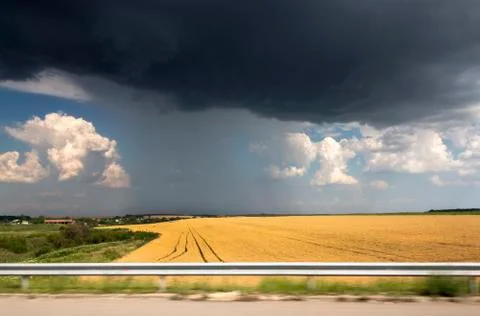 Dramatic, stormy sky over yellow fields. Stock Photos