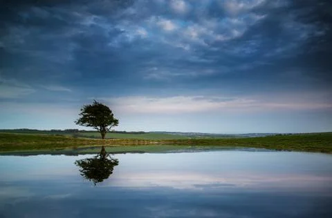 Dramatic stormy sky reflected in dew pond countryside landscape Stock Photos