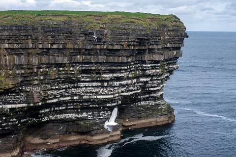 Dramatic stratified rock formations on the coast, green clifftop over the deep b Fotos Stock