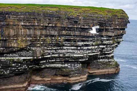 Dramatic stratified rock formations on the coast, green clifftop over the deep b Fotos Stock