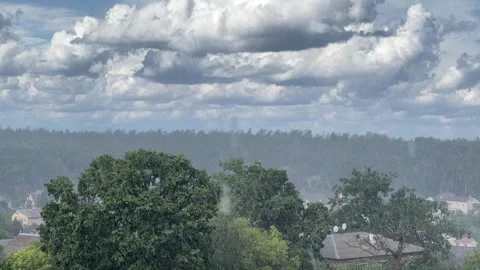Dramatic summer rain shower falling over green trees and countryside Stock Footage 344579353
