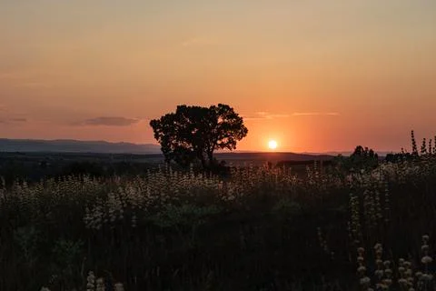 Dramatic summer sunset over rolling hills Stock Photos