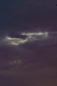 Dramatic summer sunset 스톡 사진