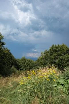 Dramatic summer view of a thunderstorm sky above a beech forest and mountain  Stock Photos